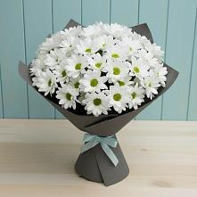 Букет цветов из:  Хризантемы #REPLACE_PRED# Романово