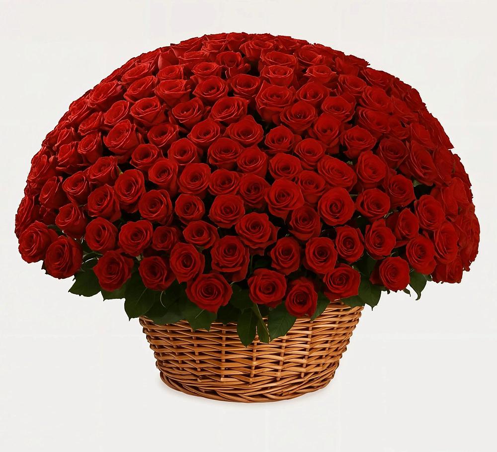 Премиум букет из: Розы в Романово